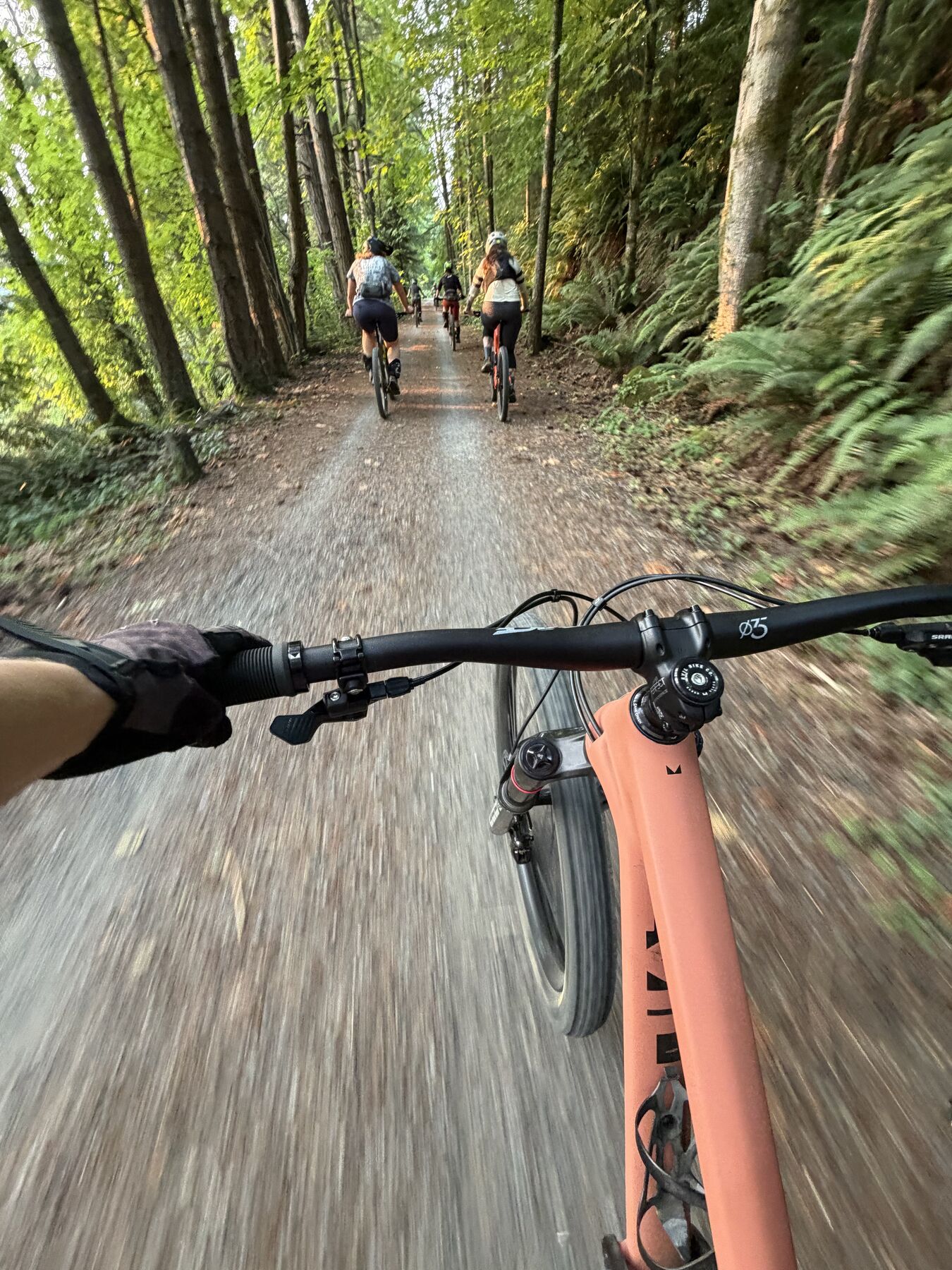 A rider’s view following two JoyRiders down a wooded trail