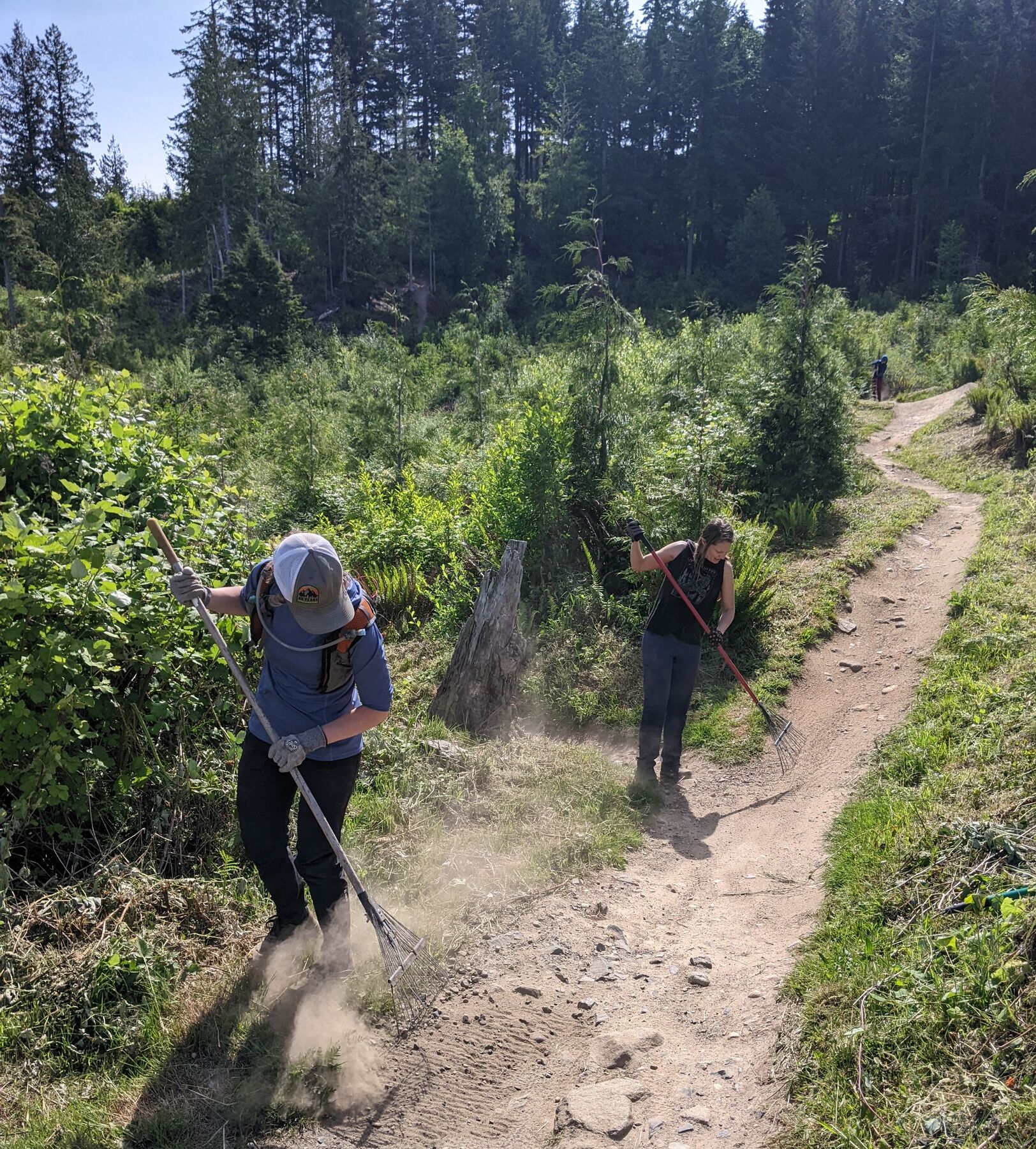 JoyRiders raking a trail at a trail work day